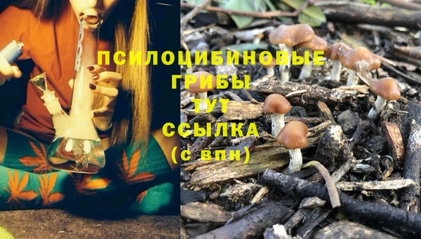 Альфа ПВП Алзамай