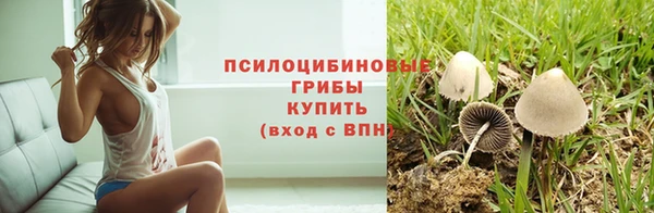 Альфа ПВП Алзамай
